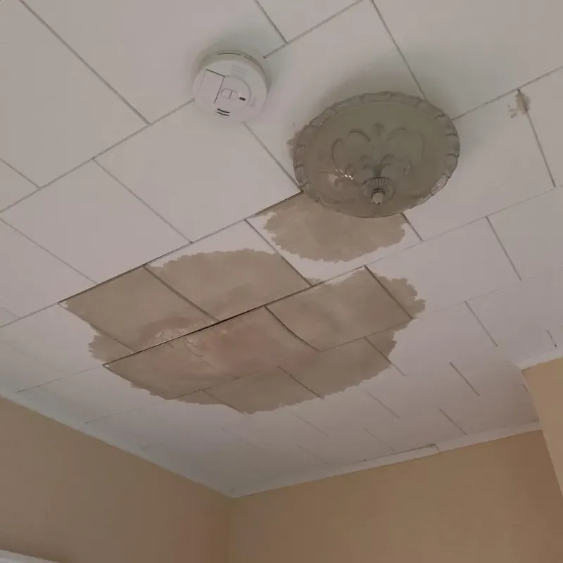 Ceiling Water Damage Repair in Fairplains, NC