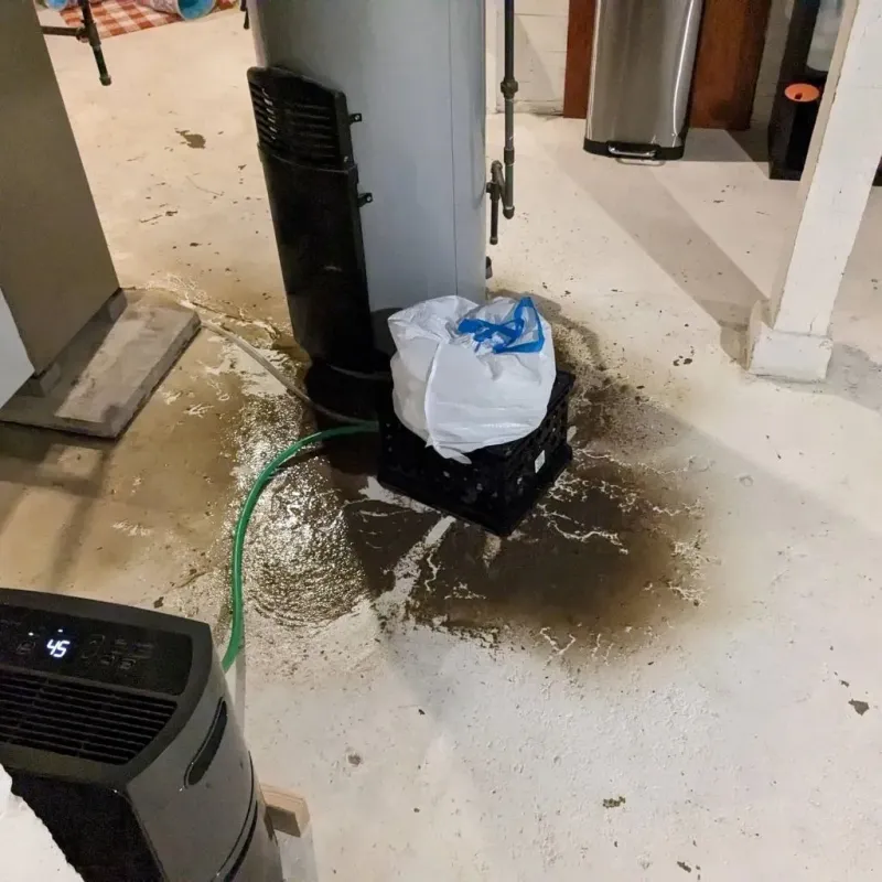 Sewage Backup Cleanup Service in Fairplains, NC